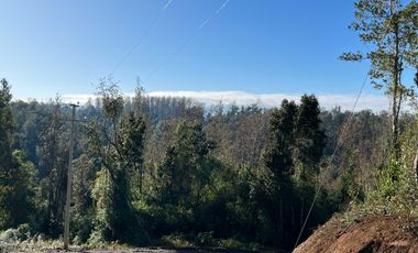 Parcela en venta  en LOS MUERMOS
