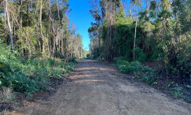 Parcela en venta  en LOS MUERMOS