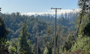 Parcela en venta  en LOS MUERMOS