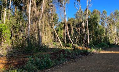 Parcela en venta  en LOS MUERMOS