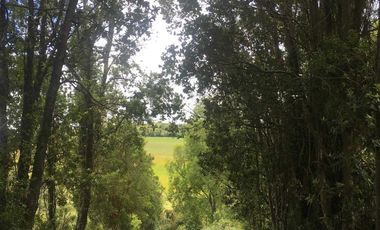 Parcela en venta  en LOS MUERMOS