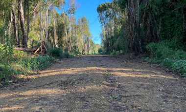 Parcela en venta  en LOS MUERMOS