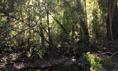 Parcela en venta  en LOS MUERMOS