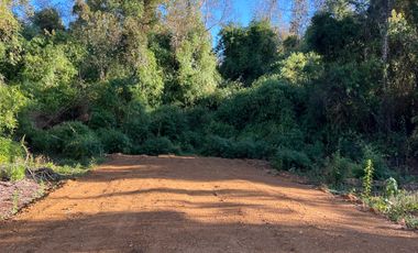 Parcela en venta  en LOS MUERMOS