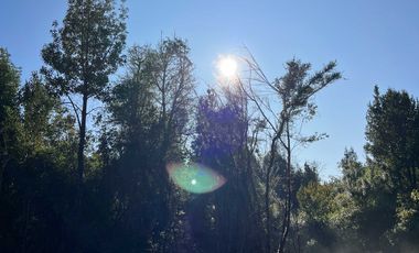 Parcela en venta  en LOS MUERMOS