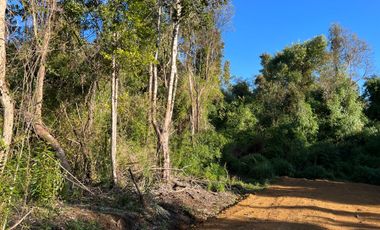 Parcela en venta  en LOS MUERMOS