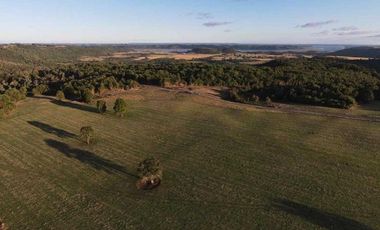 Parcela en venta  en LOS MUERMOS