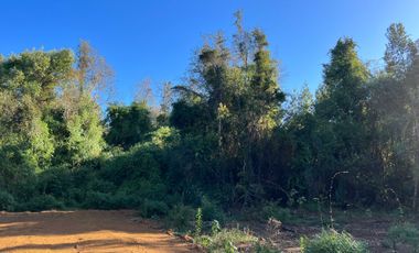 Parcela en venta  en LOS MUERMOS