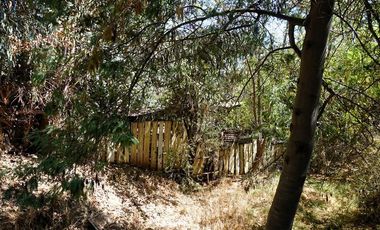 Agrícola en Venta en San Alfonso - Limache Viejo