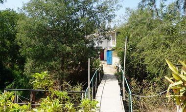 Agrícola en Venta en San Alfonso - Limache Viejo