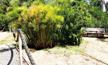 Agrícola en Venta en San Alfonso - Limache Viejo