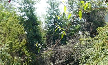Agrícola en Venta en San Alfonso - Limache Viejo