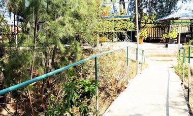 Agrícola en Venta en San Alfonso - Limache Viejo