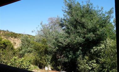 Agrícola en Venta en San Alfonso - Limache Viejo