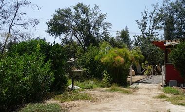 Agrícola en Venta en San Alfonso - Limache Viejo