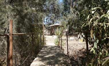 Agrícola en Venta en San Alfonso - Limache Viejo