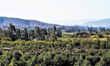 Agrícola en Venta en Camino a Embalse Lliu Lliu, Limache.
