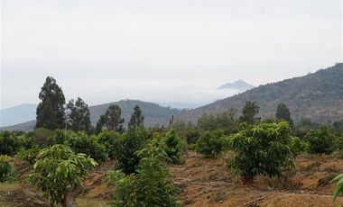 Agrícola en Venta en Camino a Embalse Lliu Lliu, Limache.