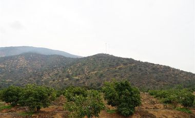 Agrícola en Venta en Camino a Embalse Lliu Lliu, Limache.