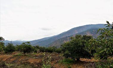Agrícola en Venta en Camino a Embalse Lliu Lliu, Limache.