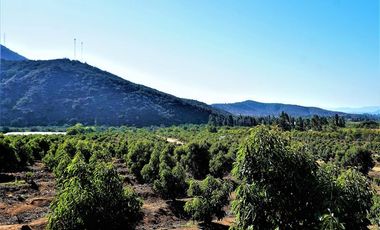 Agrícola en Venta en Camino a Embalse Lliu Lliu, Limache.