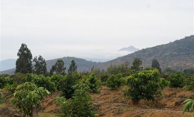 Agrícola en Venta en Camino a Embalse Lliu Lliu, Limache.