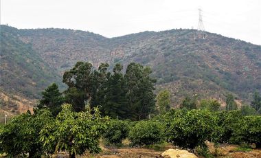 Agrícola en Venta en Camino a Embalse Lliu Lliu, Limache.