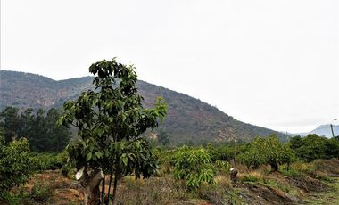 Agrícola en Venta en Camino a Embalse Lliu Lliu, Limache.
