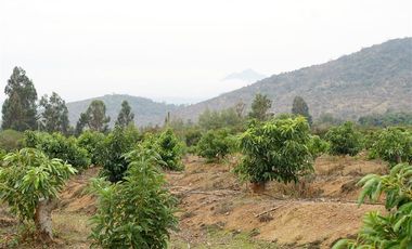 Agrícola en Venta en Camino a Embalse Lliu Lliu, Limache.