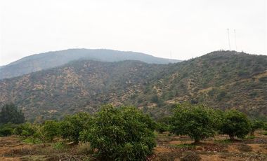 Agrícola en Venta en Camino a Embalse Lliu Lliu, Limache.