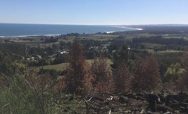 Parcela en venta  en PELLUHUE