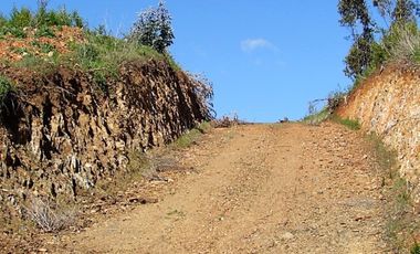 Parcela en venta  en PELLUHUE