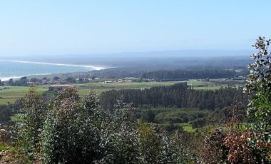 Parcela en venta  en PELLUHUE