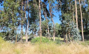 Parcela en venta en LINARES