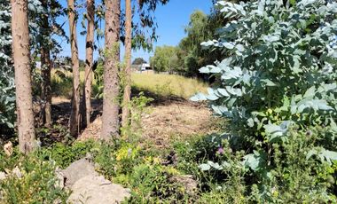 Parcela en venta en LINARES