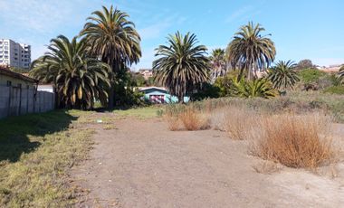 Parcela en venta  en COQUIMBO