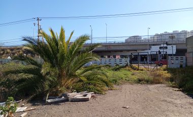 Parcela en venta  en COQUIMBO