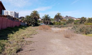 Parcela en venta  en COQUIMBO