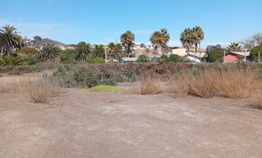 Parcela en venta  en COQUIMBO