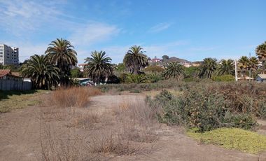 Parcela en venta  en COQUIMBO