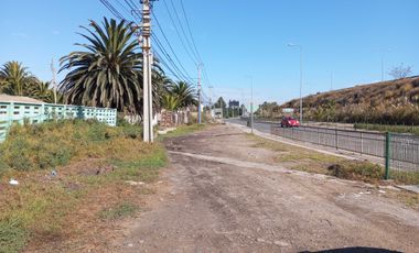 Parcela en venta  en COQUIMBO