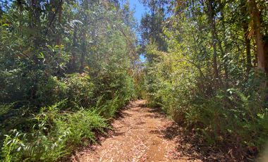 Parcela en venta en PELLUHUE