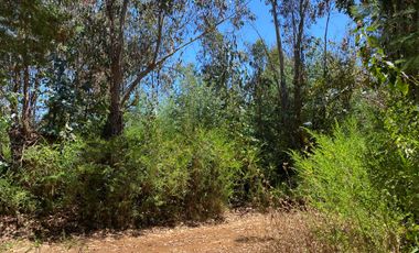 Parcela en venta en PELLUHUE