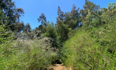 Parcela en venta en PELLUHUE