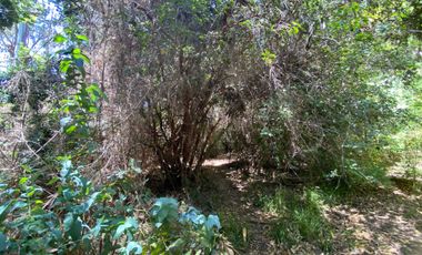 Parcela en venta en PELLUHUE