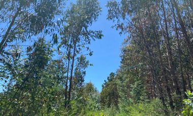 Parcela en venta en PELLUHUE