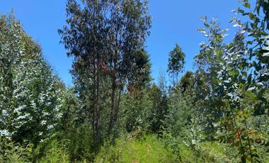 Parcela en venta en PELLUHUE