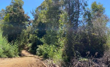 Parcela en venta en PELLUHUE