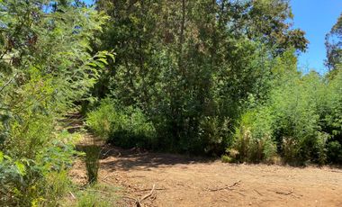 Parcela en venta en PELLUHUE