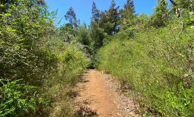 Parcela en venta en PELLUHUE